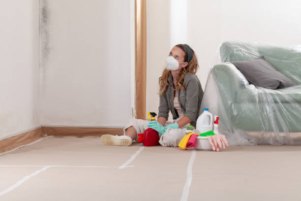 Reliable Mold Remediation contractor in Westwood, NJ by Cheap Mold Removal
